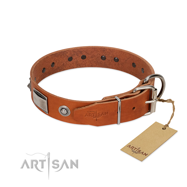Amazing full grain natural leather collar with embellishments for your four-legged friend