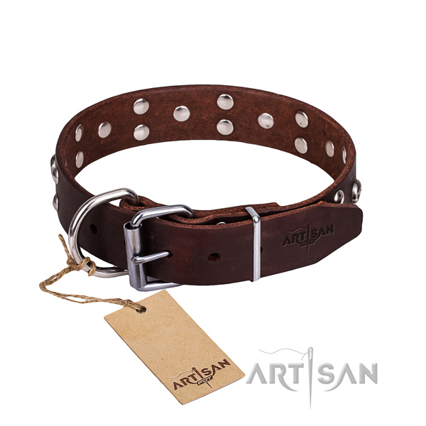 Daily walking dog collar of durable natural leather with adornments