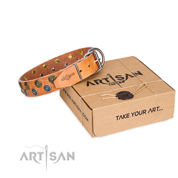 Everyday use dog collar of finest quality full grain natural leather with decorations
