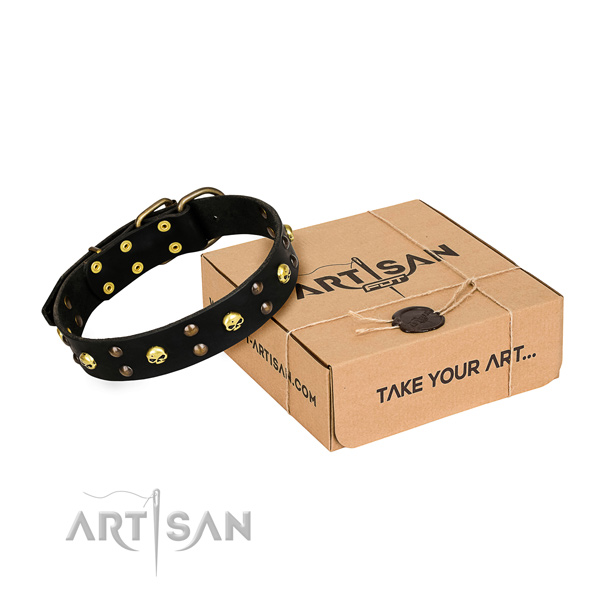 Basic training dog collar of strong leather with decorations