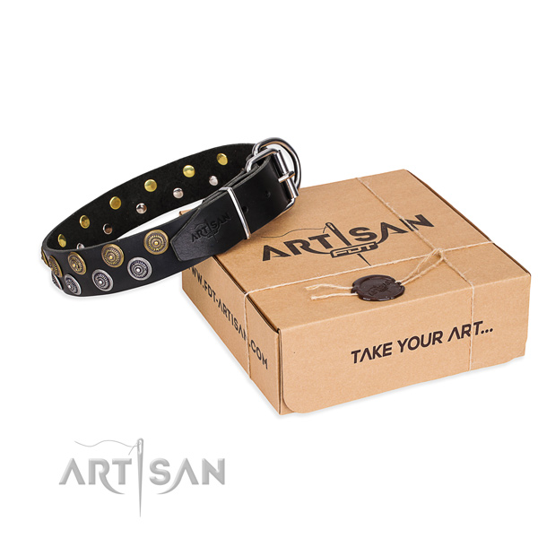 Daily use dog collar of best quality full grain leather with adornments