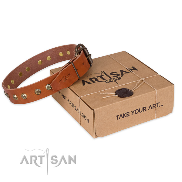 Strong fittings on full grain genuine leather collar for your impressive canine