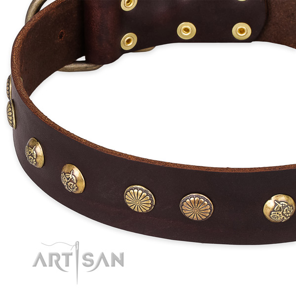 Leather collar with reliable fittings for your handsome four-legged friend
