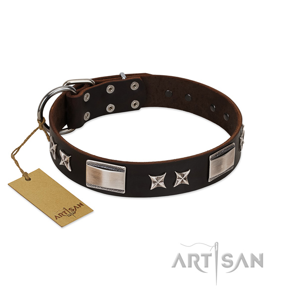 Adorned dog collar of natural leather