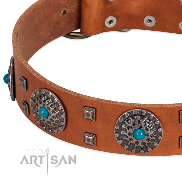 Top notch full grain natural leather dog collar with stylish embellishments