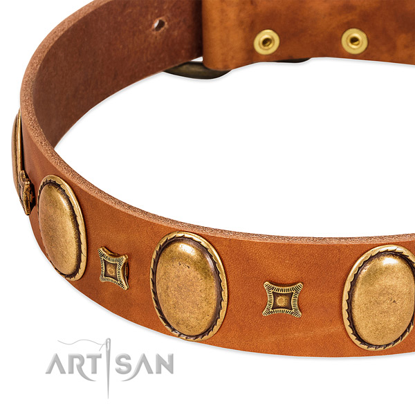 Full grain genuine leather dog collar with corrosion proof traditional buckle for stylish walking