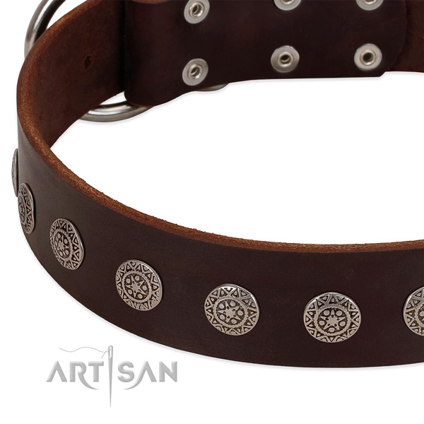 Flexible full grain genuine leather collar with studs for your dog