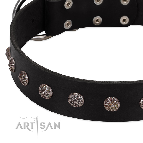Top rate full grain genuine leather dog collar with embellishments for your four-legged friend