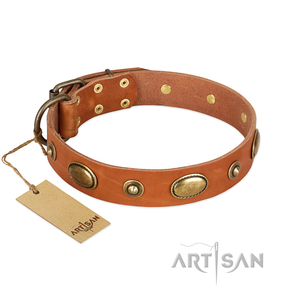 Significant full grain genuine leather collar for your canine