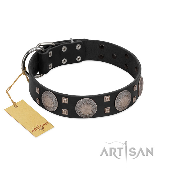 Fashionable full grain leather dog collar for walking in style your pet