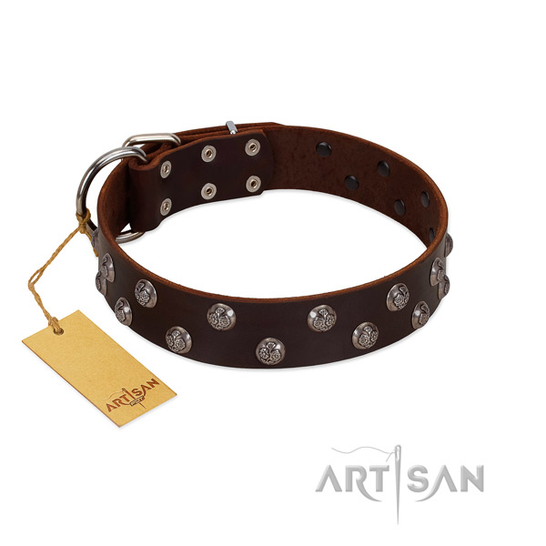 Top rate full grain natural leather dog collar with studs