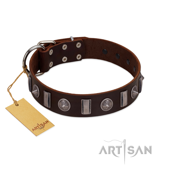 Flexible genuine leather dog collar with embellishments for handy use