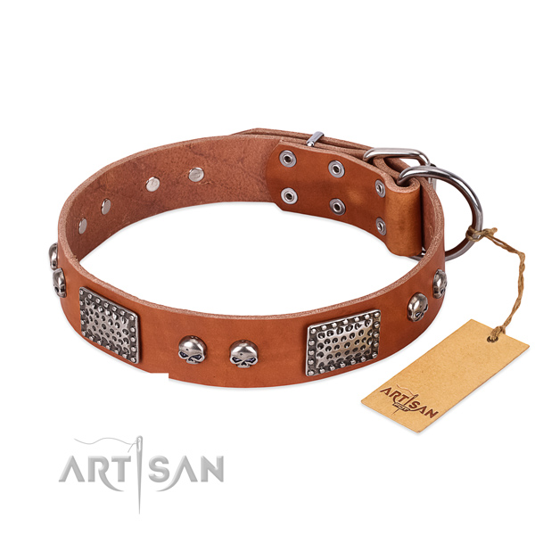 Easy adjustable natural genuine leather dog collar for everyday walking your canine