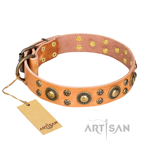Everyday use dog collar of high quality full grain natural leather with decorations