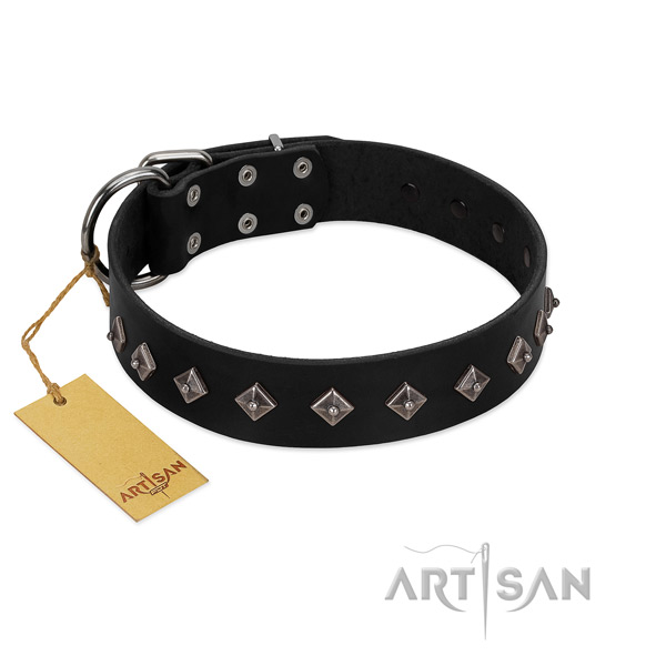 Inimitable decorations on leather collar for stylish walking your canine