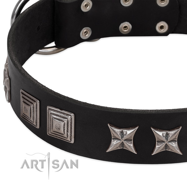Comfortable wearing full grain leather dog collar with exceptional decorations