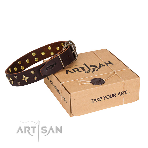 Handy use dog collar of best quality full grain natural leather with embellishments