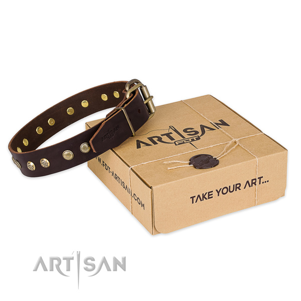 Rust-proof D-ring on full grain leather collar for your handsome pet