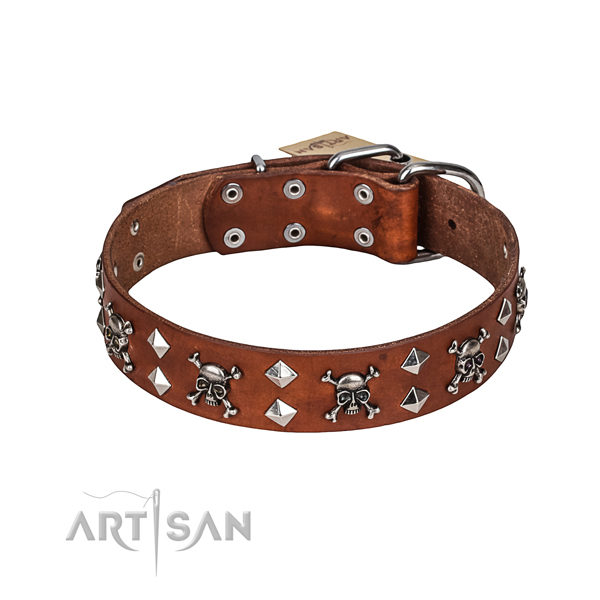 Walking dog collar of finest quality genuine leather with decorations