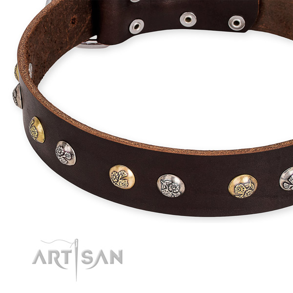 Leather dog collar with remarkable rust-proof decorations