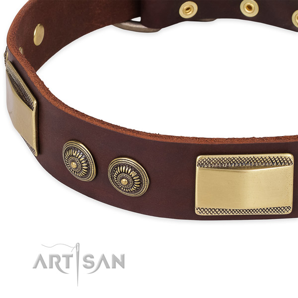 Unique full grain genuine leather collar for your beautiful canine
