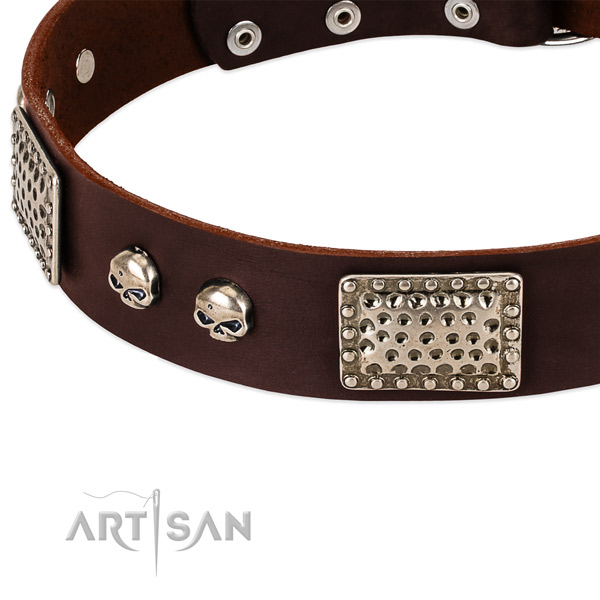 Durable studs on full grain leather dog collar for your canine