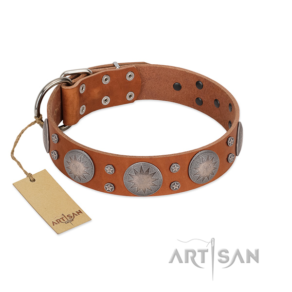 Exceptional natural leather collar for your stylish dog