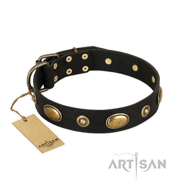 Extraordinary full grain natural leather collar for your doggie