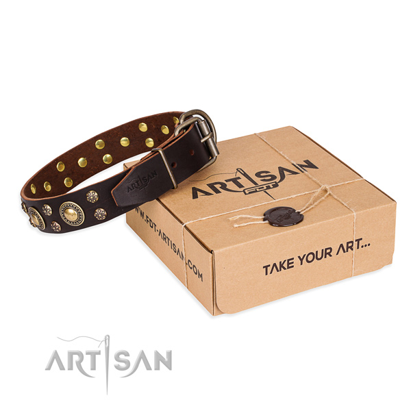 Easy wearing dog collar of top quality full grain genuine leather with embellishments