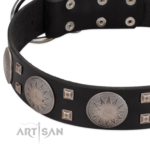 Daily walking leather dog collar