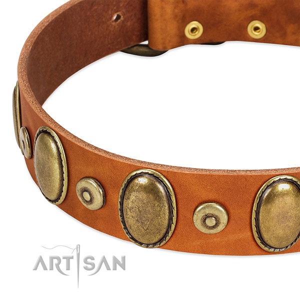 Top notch genuine leather collar made for your canine