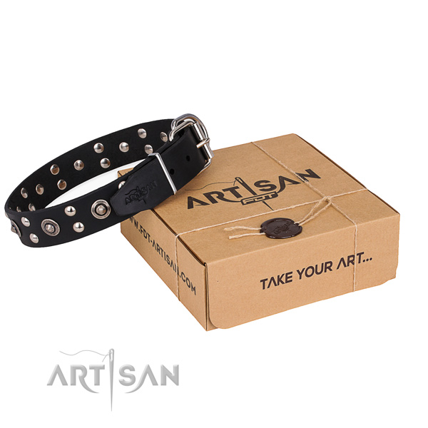 Everyday walking dog collar with Stunning durable studs