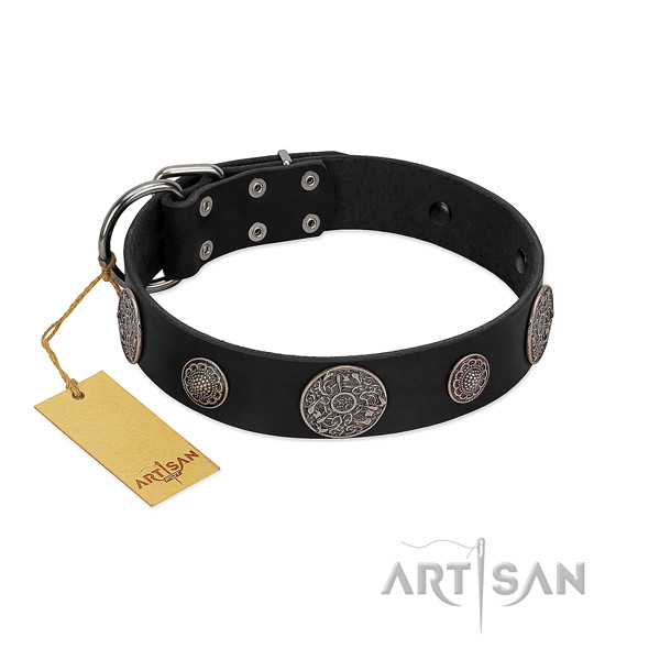 Extraordinary full grain leather collar for your stylish dog