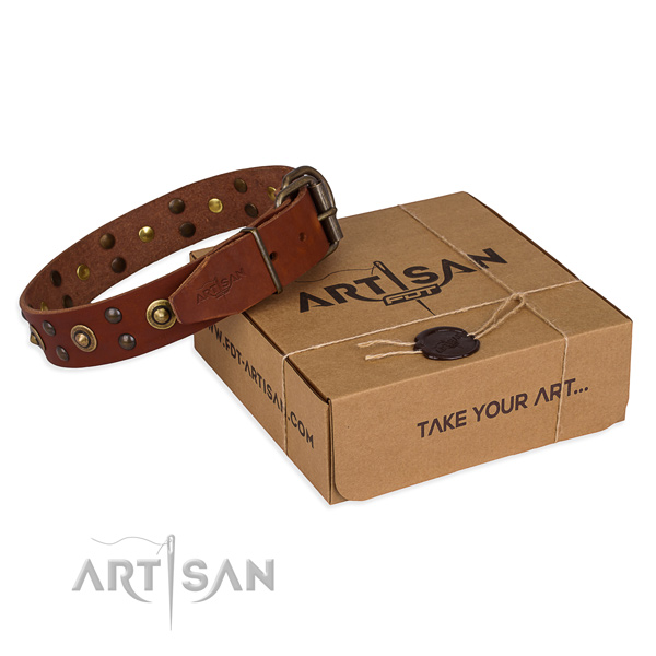 Corrosion proof hardware on full grain natural leather collar for your stylish four-legged friend