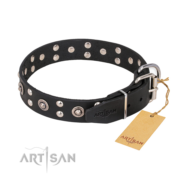 Natural leather dog collar with impressive corrosion resistant adornments