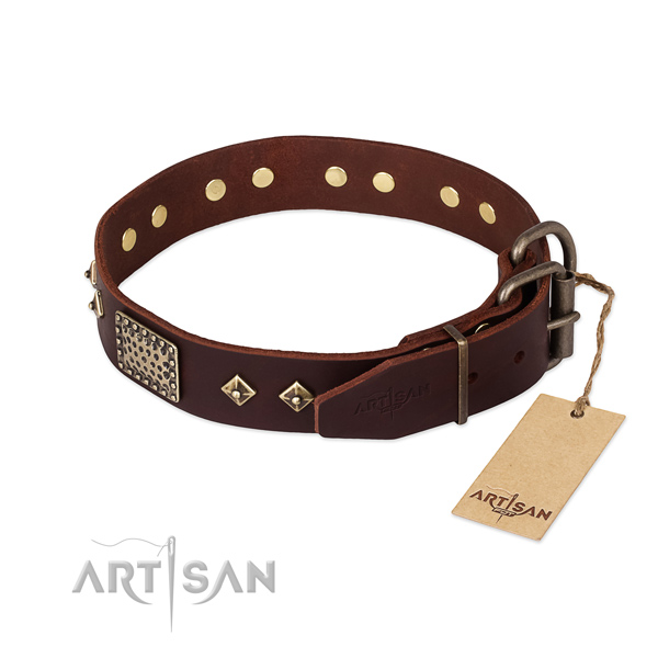 Leather dog collar with durable fittings and adornments