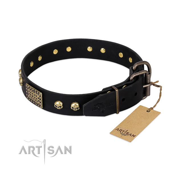 Reliable fittings on walking dog collar