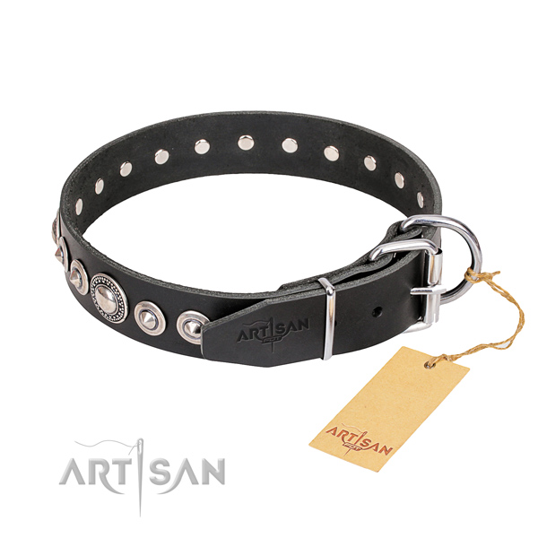 Top quality embellished dog collar of natural leather