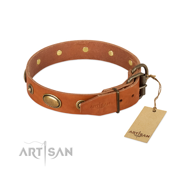 Reliable traditional buckle on full grain genuine leather dog collar for your four-legged friend