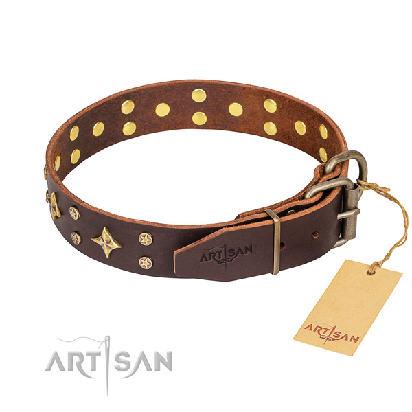 Comfy wearing embellished dog collar of durable leather