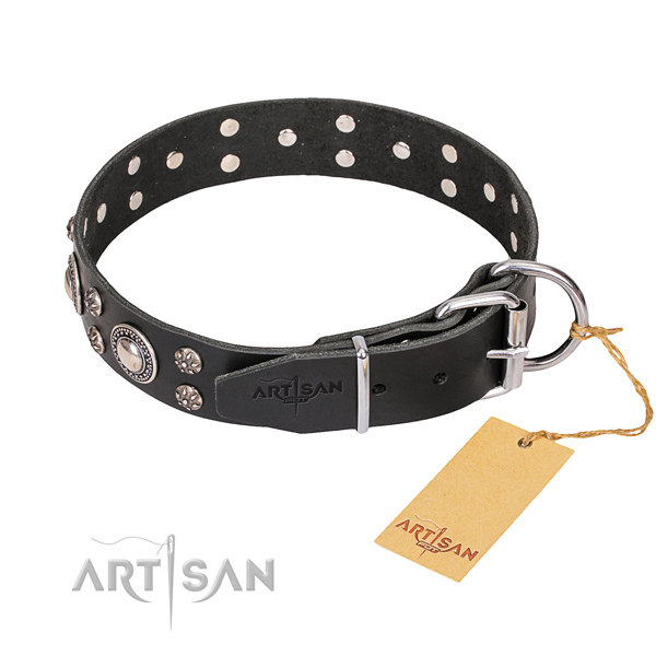 Everyday use adorned dog collar of strong natural leather