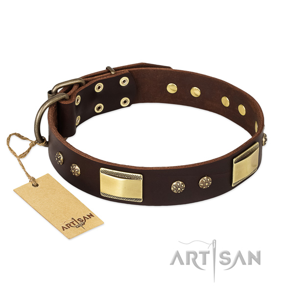 Full grain natural leather dog collar with reliable buckle and embellishments