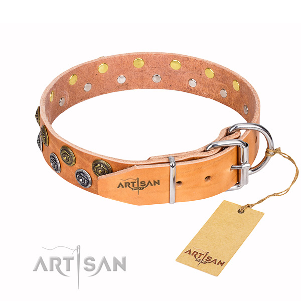 Handy use studded dog collar of finest quality full grain natural leather
