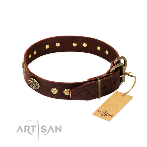 Reliable hardware on leather dog collar for your four-legged friend