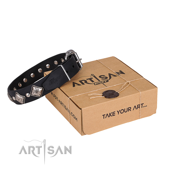 Stylish walking dog collar of finest quality genuine leather with studs