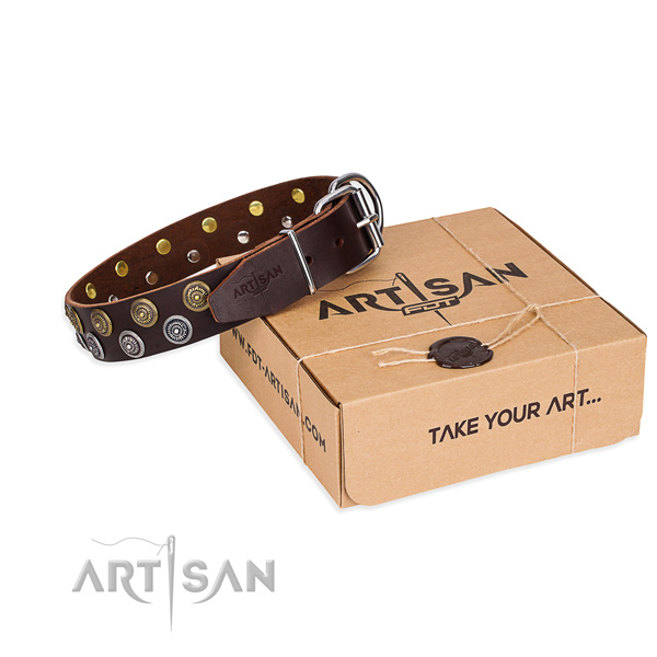 Daily use dog collar of finest quality natural leather with decorations