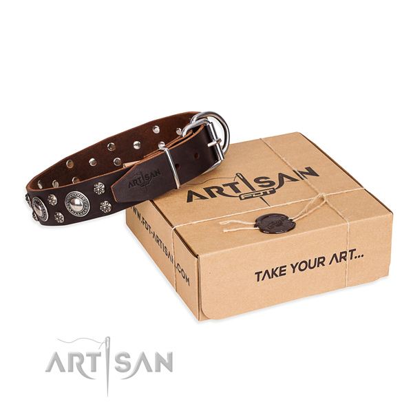 Stylish walking dog collar of fine quality full grain natural leather with studs