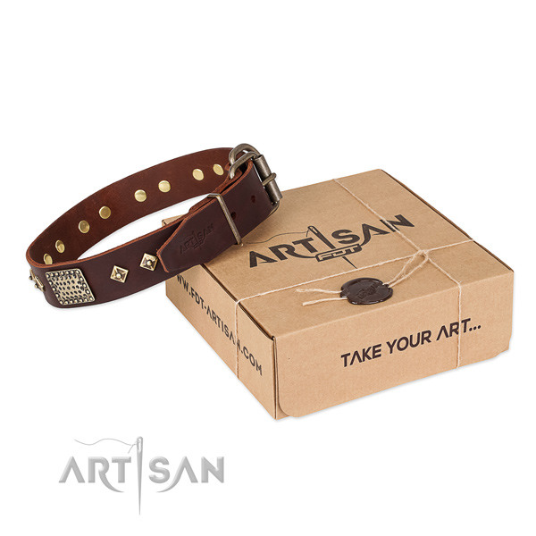 Exquisite leather collar for your lovely four-legged friend