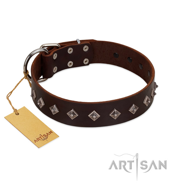Exquisite decorations on genuine leather collar for daily walking your four-legged friend