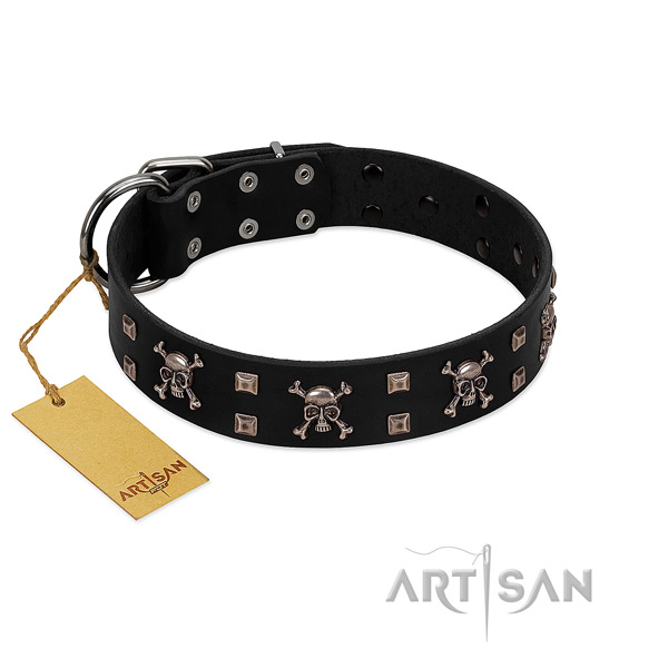 Top notch full grain leather dog collar crafted for your dog